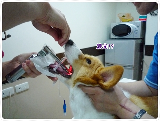 P1080519.JPG P1080519.JPG