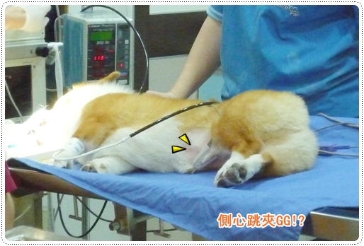 P1080530.JPG P1080530.JPG