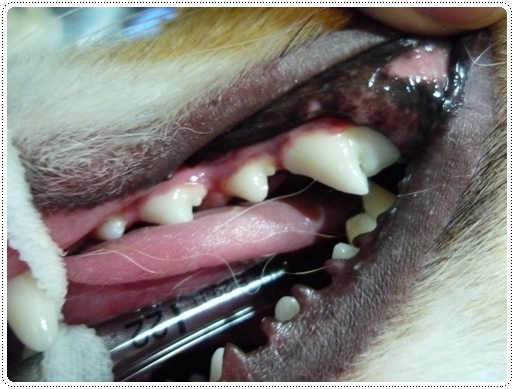 P1080556.JPG P1080556.JPG