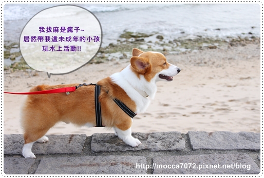 IMG_3311.JPG IMG_3311.JPG