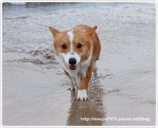 IMG_3393.JPG IMG_3393.JPG