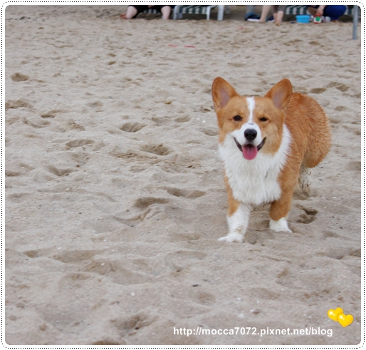 IMG_3398.JPG IMG_3398.JPG