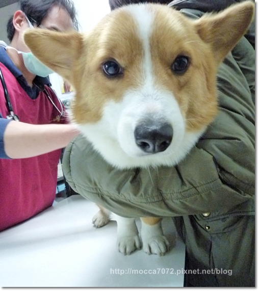 P1090790.JPG P1090790.JPG