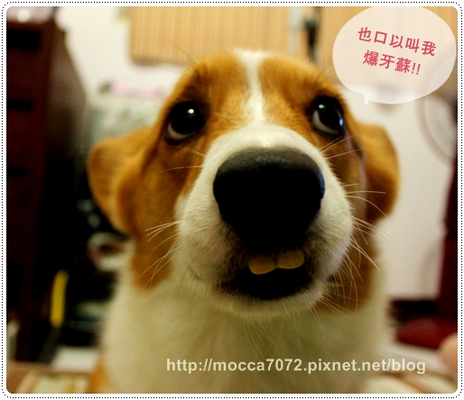 IMG_6664.JPG IMG_6664.JPG