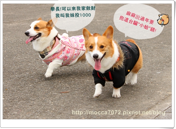 IMG_0637.JPG IMG_0637.JPG