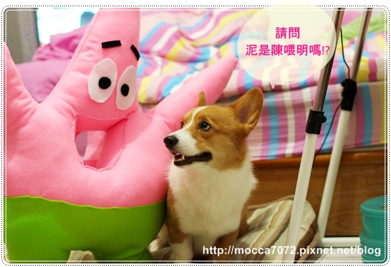 IMG_5370.JPG IMG_5370.JPG