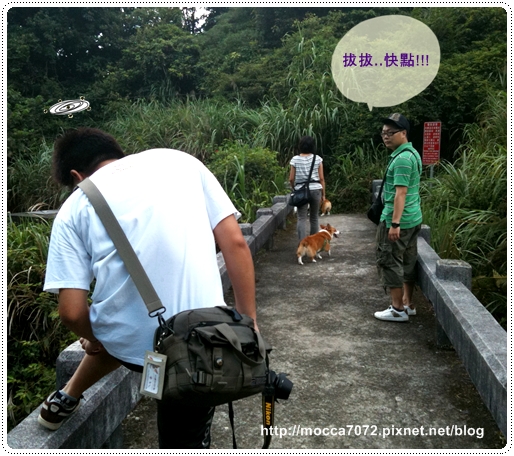 IMG_0774.jpg IMG_0774.jpg