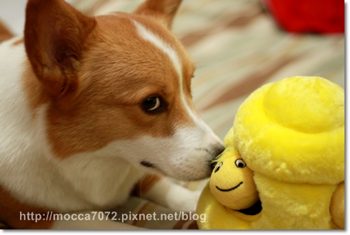 IMG_9616.JPG IMG_9616.JPG