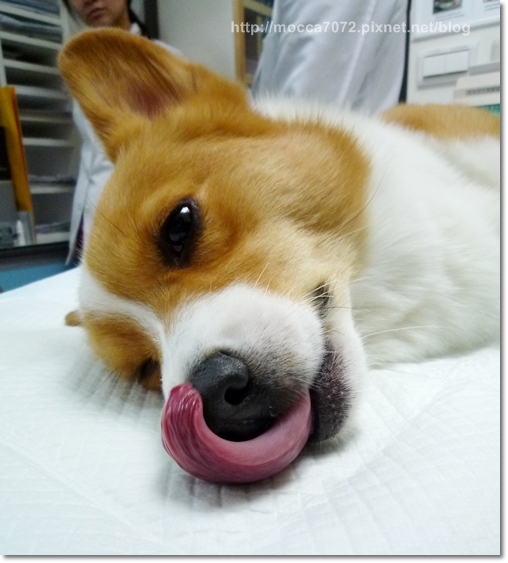 P1090699.JPG P1090699.JPG