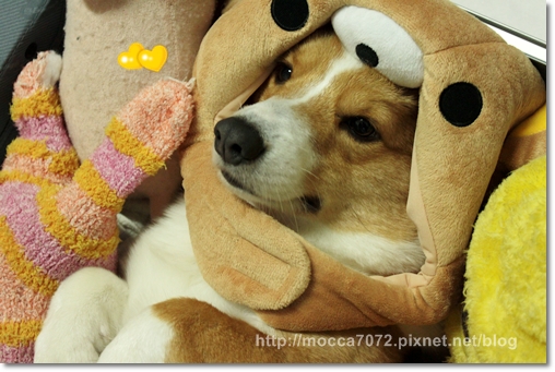 IMG_0441.JPG IMG_0441.JPG