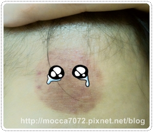 IMG_2478.jpg IMG_2478.jpg