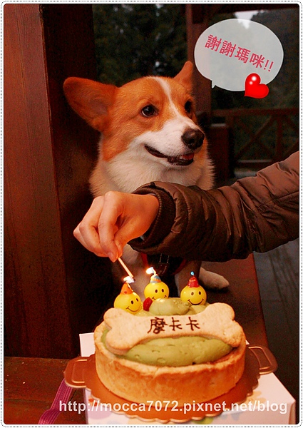 IMG_2609.jpg IMG_2609.jpg